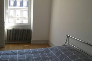 Appartements F3 lumineux & cosy au centre de Mulhouse : photos des chambres
