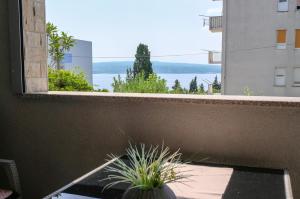 Apartment Summertime