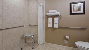 King Room with Mobility Accessible Roll-In Shower - Non-Smoking room in Best Western Premier Miami International Airport Hotel & Suites Coral Gables