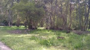 Kau Chaink casa de campo