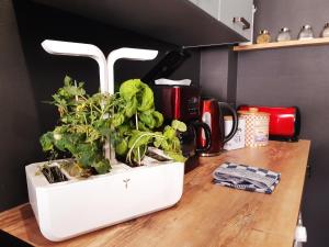 Appartements la Casa D'esteve : photos des chambres