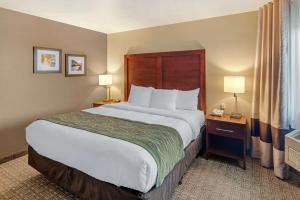 King Room - Accessible/Non-Smoking room in Comfort Inn University