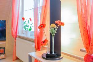 Ferienwohnung Itzehoe