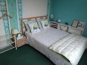 Chambres d'hôtes du Port aux Cerises - 德拉韦伊