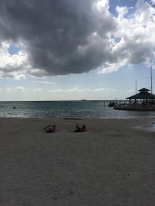 Terraza del Caribe