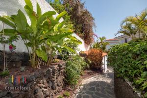 CasaColores Apartamentos