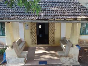 Green Fields - Banda