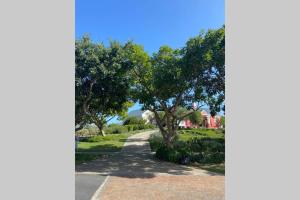 Summit Song - Thesen Island