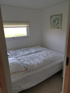 Tangsø Hytteby