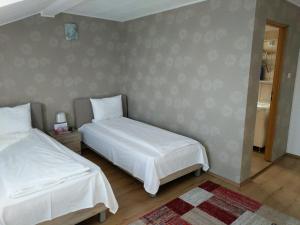 Pensiunea Vladut Timisoara