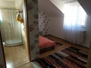 Single Room with Private Bathroom room in Pensiunea Vladut Timisoara