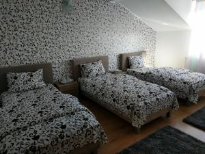 Pensiunea Vladut Timisoara