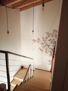 AGRITURISMO CORTE FONTANA