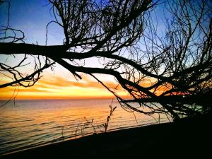 Il Galeone B&B img18