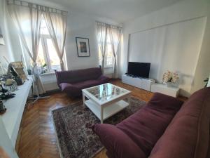 Apartment Cișmigiu Orchid Garden Bucharest Romania