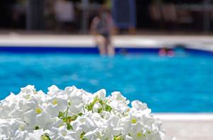 Sun Beach Hotel Pieria Greece