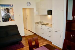 Apartament Kasztanowy Centrum