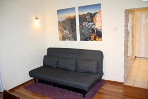 Apartament Kasztanowy Centrum