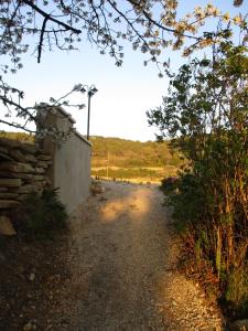 Maisons de vacances Gite en provence au coeur des vignes : photos des chambres