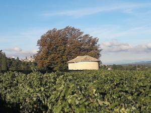 Maisons de vacances Gite en provence au coeur des vignes : photos des chambres