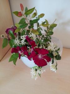 Villetta Giulietta in Baia Verde