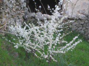 Stazzo Fossuli img28