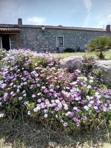 Stazzo Fossuli