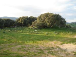 Stazzo Fossuli img36