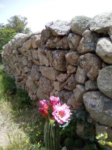 Stazzo Fossuli img49