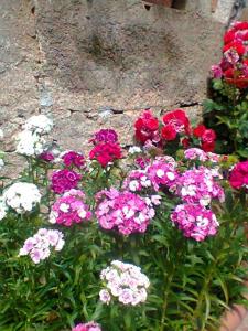 Stazzo Fossuli img50