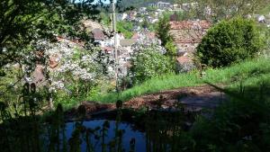 Meisterhaus Alpirsbach Loft