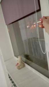 Two-Bedroom Apartment room in Апартаменты у Yuliki- центрдвухкомнатная квартира