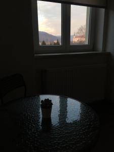 Apartmány U Muzea
