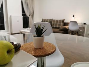 One-Bedroom Apartment room in Haas Apartments Downtown with Parking
