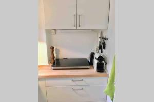 The heart of Copenhagen-Queens Neighbor