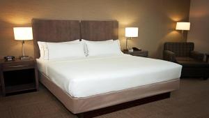 Standard King Room room in Holiday Inn Express Hotel & Suites Wichita Northeast an IHG Hotel