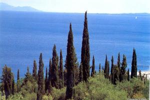 Villa Stephanie Corfu Greece