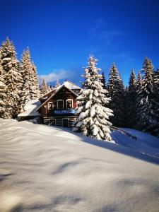 Chata pod Studničnou