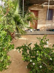 Grand Sud, la maison de sable