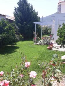 Aloe Apartment in Epidaurus