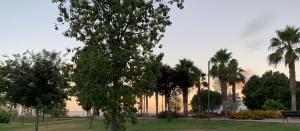 FUENTE REDONDA EN BAEZA