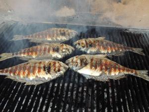 The Art of Mediterranean Living 