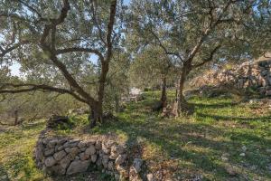 The Art of Mediterranean Living