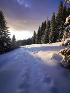 Chata pod Studničnou