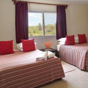 Los Depas del Aeropuerto Holbox