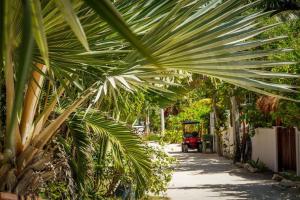 Los Depas del Aeropuerto Holbox