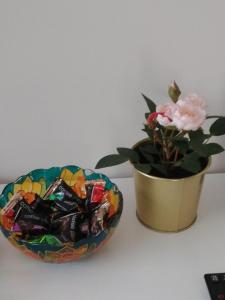 Apartament Włóczykija