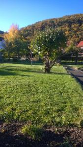 Ferienwohnung Bergblick - inklusive Bodetal Therme