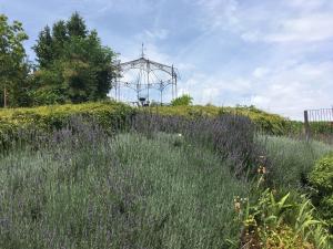 B&B / Chambres d'hotes Au Coeur Des Vignes : photos des chambres