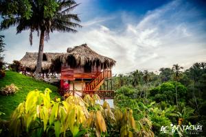 tayrona park trips